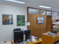 5/173 Boronia Road, Boronia VIC 3155